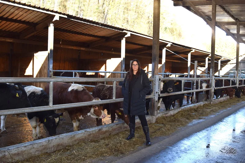2269a668abd41f8e83728e23fdd07e02b7042593 Andrea Müller im Munimaststall, der offen gebaut ist. Die Tiere werden grösstenteils mit betriebseigenem Futter versorgt. (Bild Stefanie Giger)