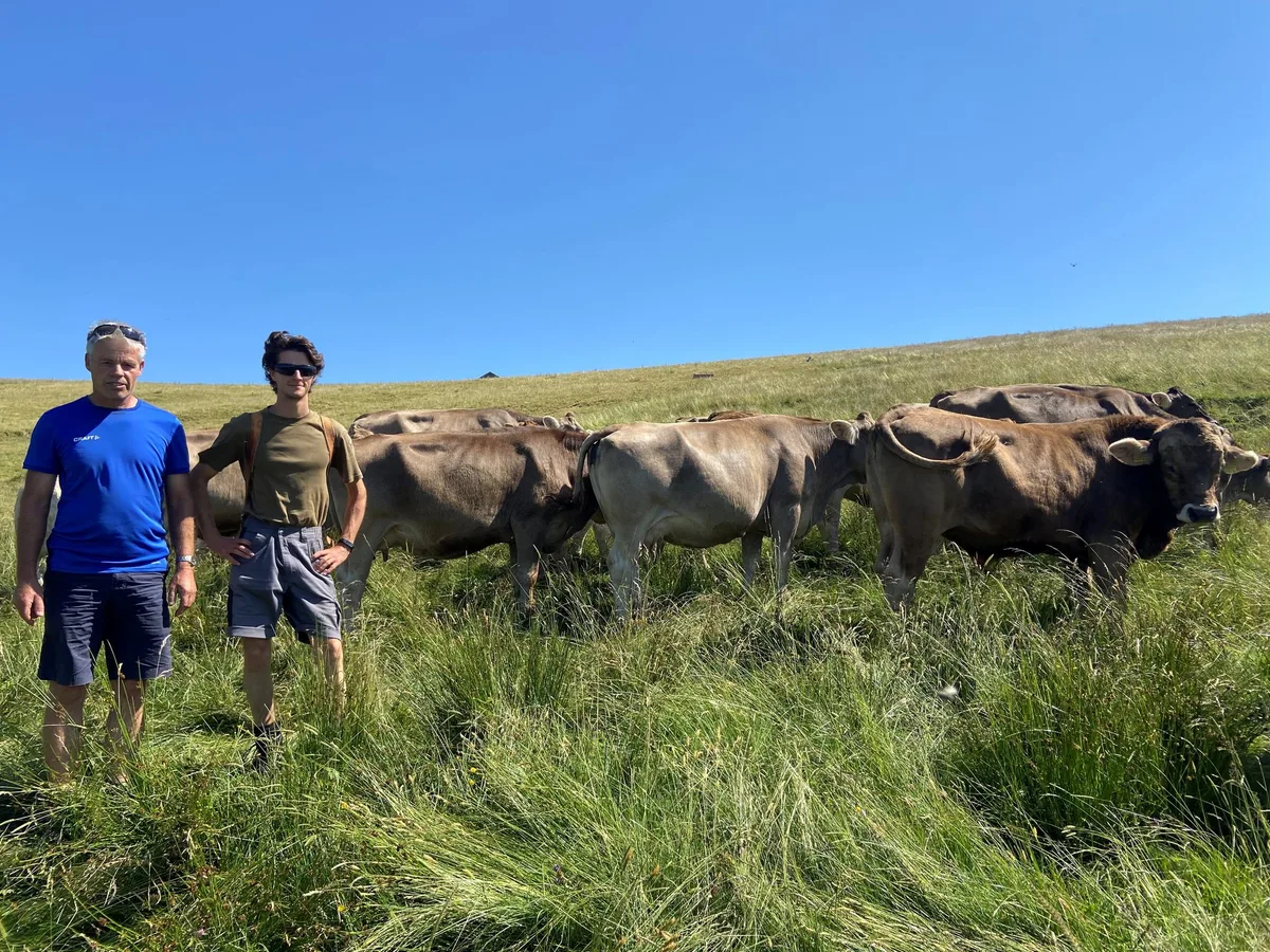 «Genetische Hornlosigkeit wäre eine Riesenchance für das Original Braunvieh»
