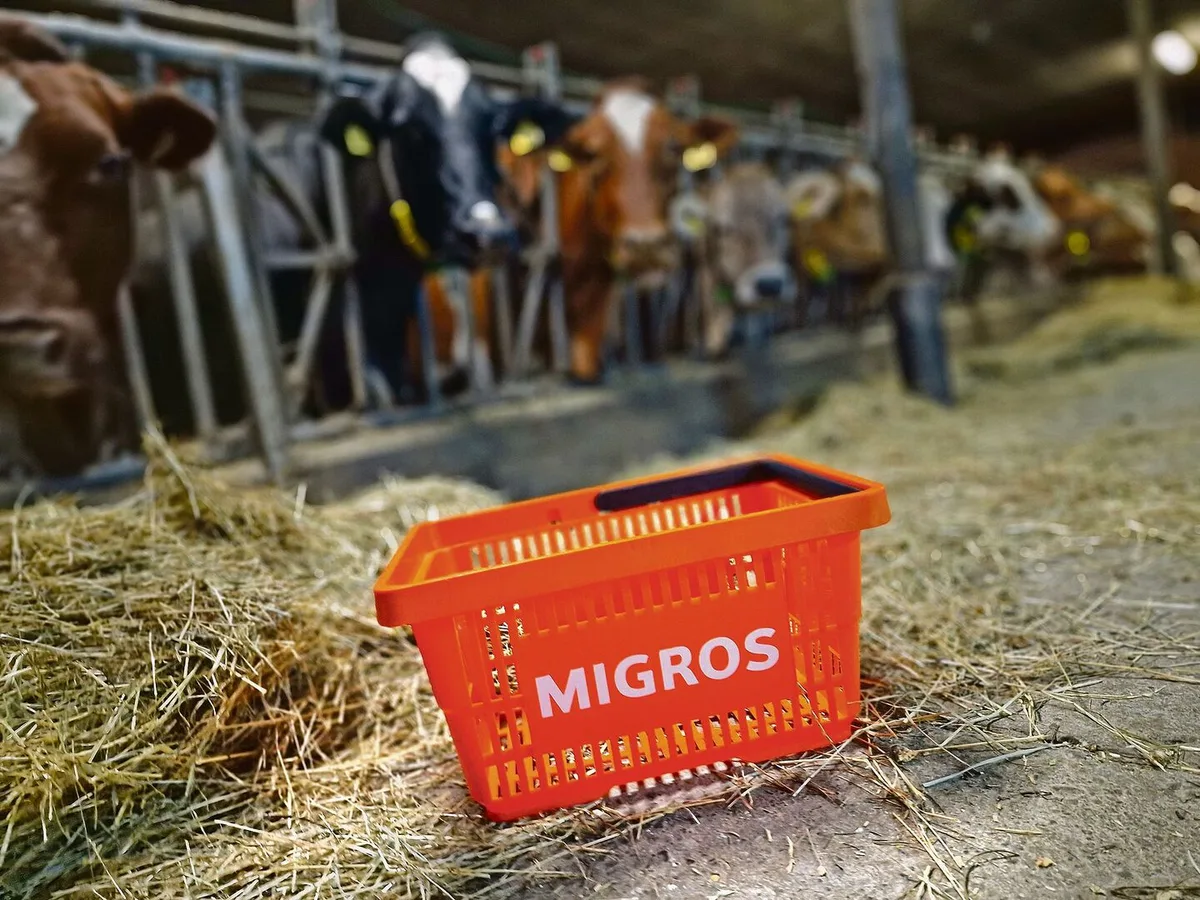 28db3fb416b90e389f97b3d8576551898b830bf3467c740e6125fe6fd43abb7b Die Migros-Industrie hat ein Beschaffungsvolumen von 4 Milliarden Franken. Wir wollten von der Migros wissen, wie wichtig ihr beim Einkauf die inländischen Bauern sind.