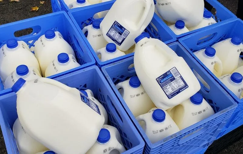 f0228dbf168b5851ca239d0780fce7ac66350f82 Kroger unterstützt Feeding America. (Bild Kroger)