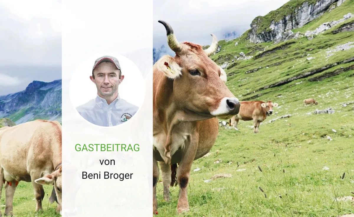 Viel Erfolg mit dem Braunvieh!