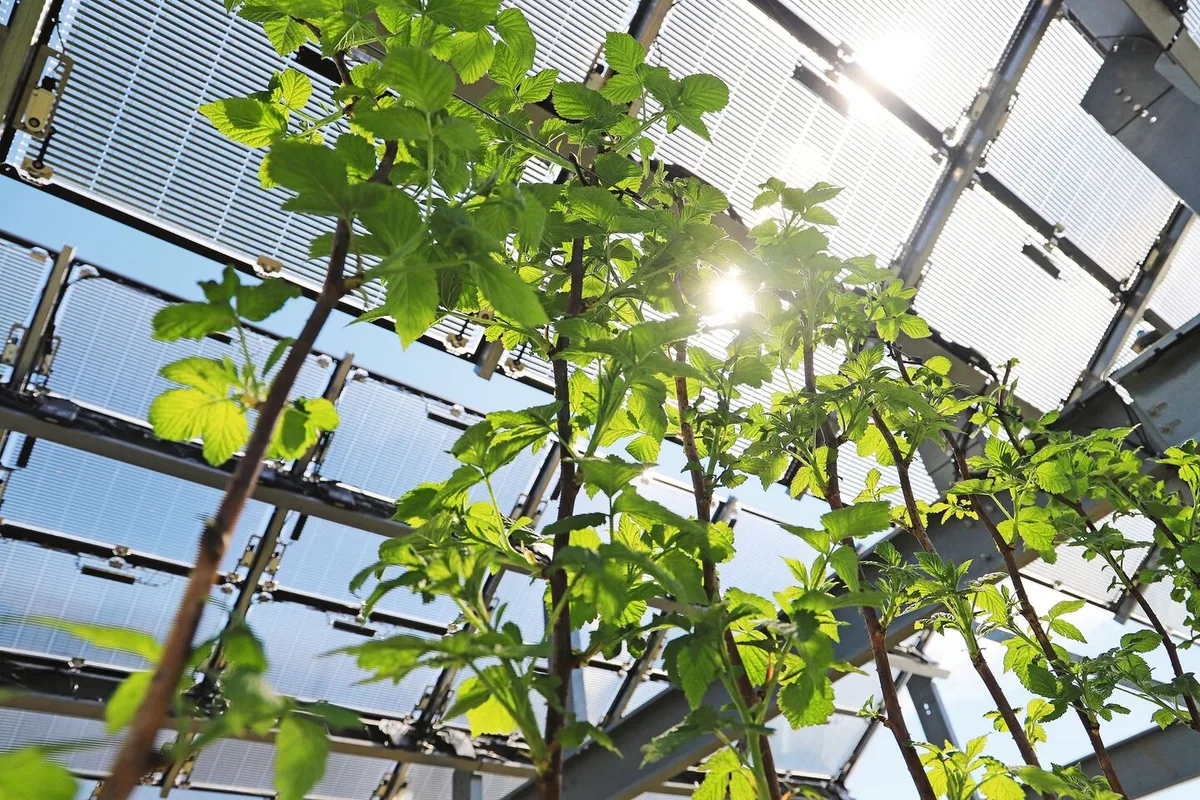 Schutz und Strom mit Photovoltaik-System
