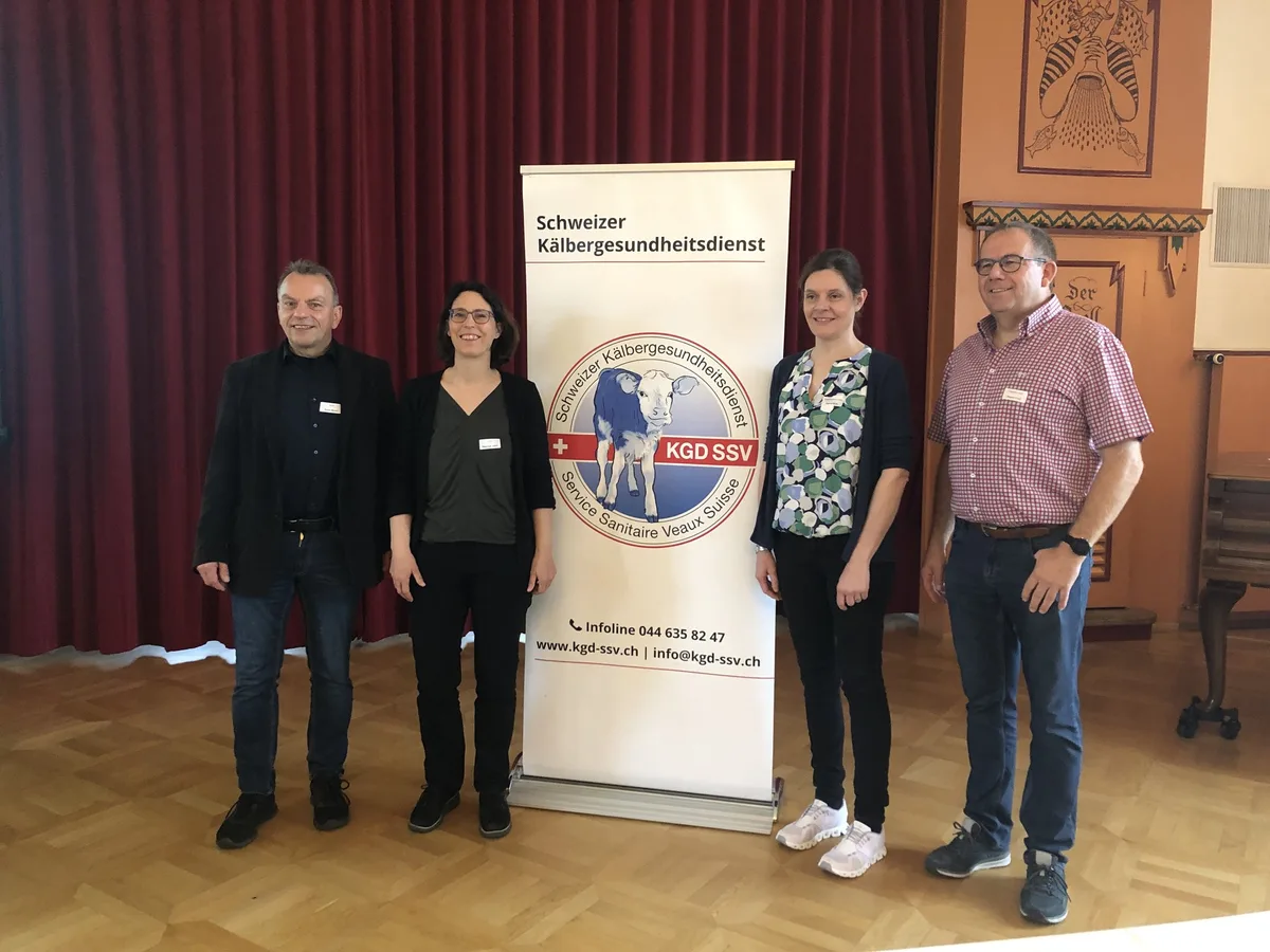 Bald muss der Kälbergesundheitsdienst den Sprung zum Rindergesundheitsdienst wagen