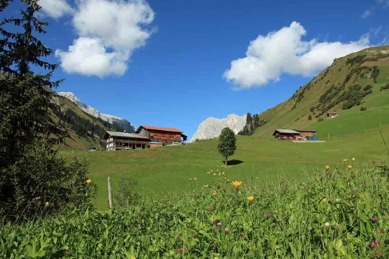 c82b227278c5cc40181600cb92b3bc09312b9553 Auf Prättigauer Alpeln hirten wieder mehr Einheimische. (Bild Agnes Schneider/landwirtschaft.ch)