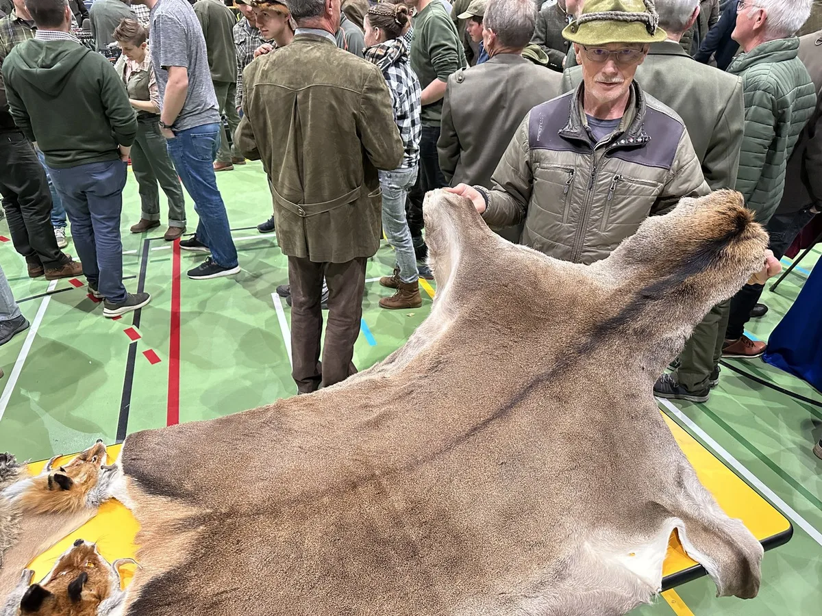 Fördert die Freizeitnutzung im Wald Verbissschäden?
