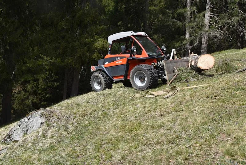 9ba530fd75f912bd6aac5e5a35eb80f63136948b Beim Holzen kommt es immer wieder zu tödlichen Unfällen. (Bild Kapo Graubünden)