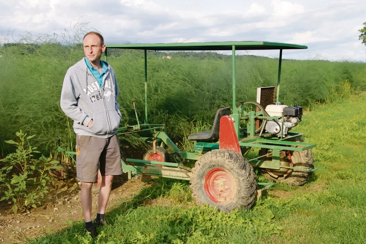 235feed7dd942f8273d27439ff9c83c52ad96a03 Oliver Brupbacher vom Erlenhof präsentiert eine selber entwickelte Erntemaschine. Im Moment ist das Kraut seiner Spargeln auf Mannshöhe gewachsen. (Bild Roland Müller)