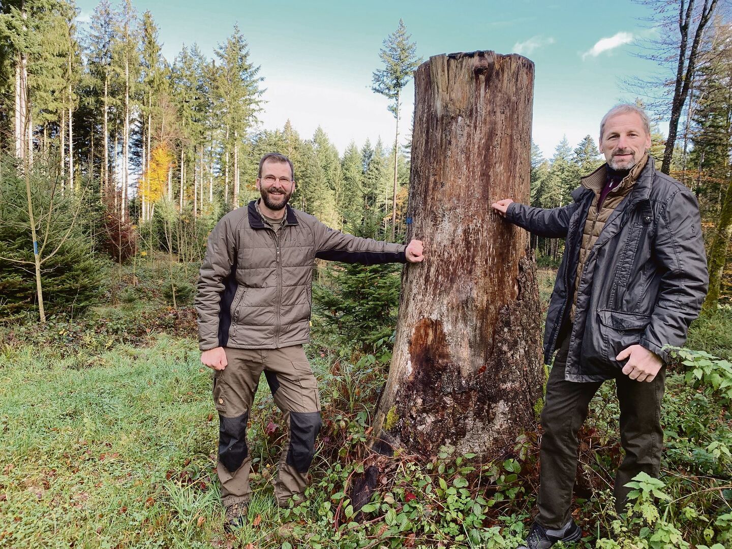 Martin Hafner, Präsident von Wald-Klimaschutz Luzern (l.), und Ruedi Gerber, Präsident von Wald Luzern, bei einer  ehemaligen Burglind- Sturmfläche im Willbrig-Wald der Korporation Willisau, wo der Jungwald dank guter Pflege schön gedeiht.