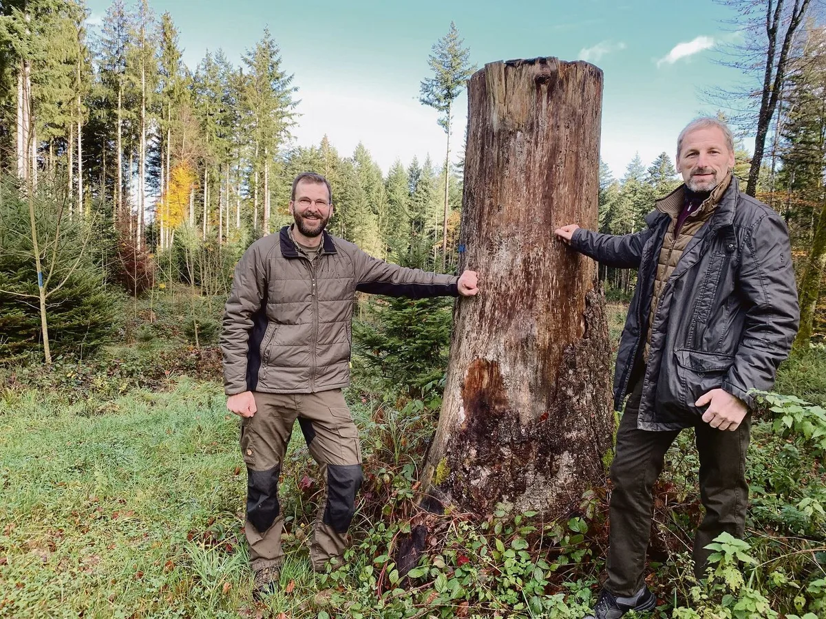 971441e64261cfcd87ea46705825f503aaf5ba6e4fb0ce794d9d7c15522d7bae Martin Hafner, Präsident von Wald-Klimaschutz Luzern (l.), und Ruedi Gerber, Präsident von Wald Luzern, bei einer ehemaligen Burglind- Sturmfläche im Willbrig-Wald der Korporation Willisau, wo der Jungwald dank guter Pflege schön gedeiht.
