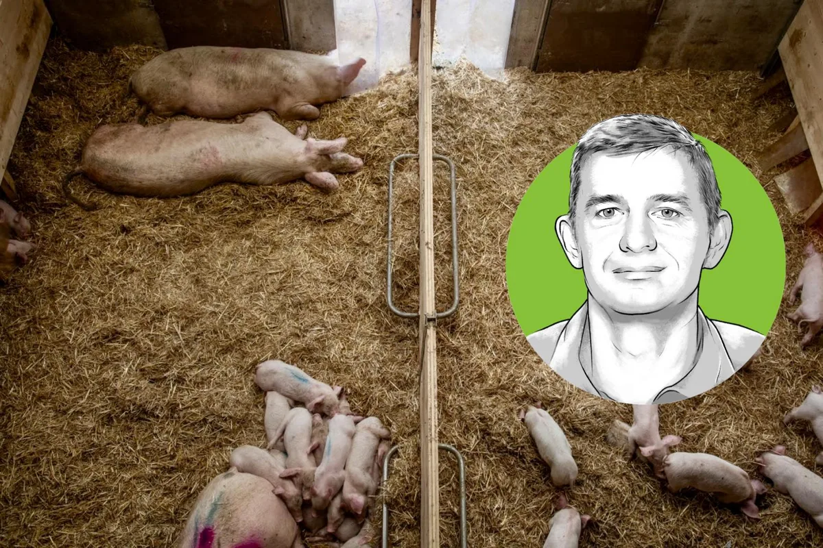 961d2fbd35de99e392e4a2568579e3551a7cbb73 Peter Spring, Dozent für Schweinefütterung und Leiter der Abteilung Agronomie BFH-HAFL. (Bild «die grüne» / Pia Neuenschwander & Bruno Muff)