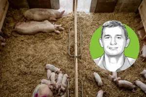 Peter Spring, Dozent für Schweinefütterung und Leiter der Abteilung Agronomie BFH-HAFL. (Bild «die grüne» / Pia Neuenschwander & Bruno Muff)