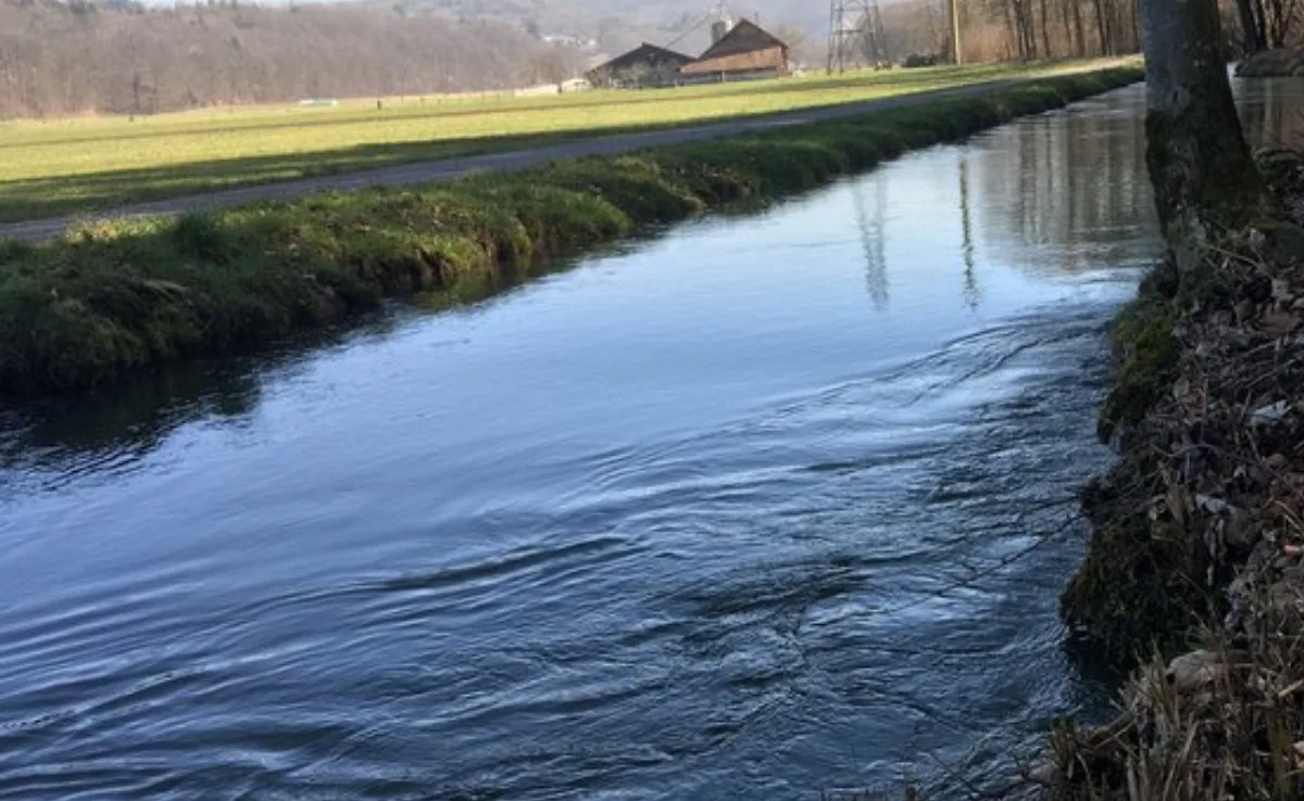 bach-hof Gewässerräume haben auch in Zukunft Vorrang vor Futterbau