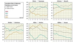 Die Fleischproduktion von grossem Bankvieh nimmt zu. (Bild Screenshot Agristat)
