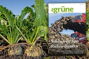 Vorschau Print-Ausgabe November 2021