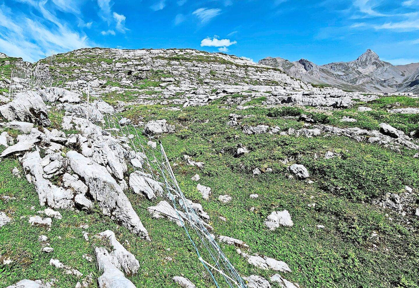 Elektrische Schafnetze auf Alpen im unwegsamen Gelände fachgerecht aufzustellen, ist enorm aufwendig und nicht überall praktikabel. Auch Herdenschutzhunde können, insbesondere in Tourismusgebieten, zu Problemen führen.