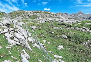Elektrische Schafnetze auf Alpen im unwegsamen Gelände fachgerecht aufzustellen, ist enorm aufwendig und nicht überall praktikabel. Auch Herdenschutzhunde können, insbesondere in Tourismusgebieten, zu Problemen führen.