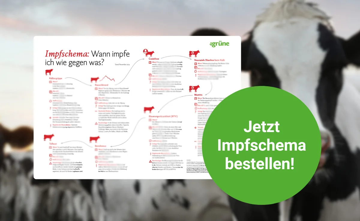 Impfschema_Artikelseite Impfschema