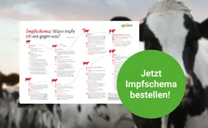 Ihr Impfschema für zuhause - ganz einfach zum selber Ausdrucken