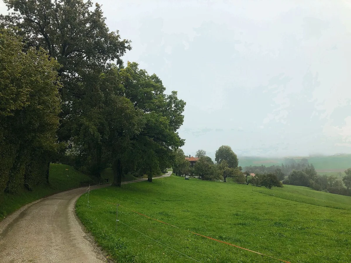 Pünktlich zum astronomischen Herbstanfang zog letzten Freitag nach der mehrtägigen Hochdruckphase eine Kaltfront über die Schweiz. Reiner Zufall – oder doch nicht?