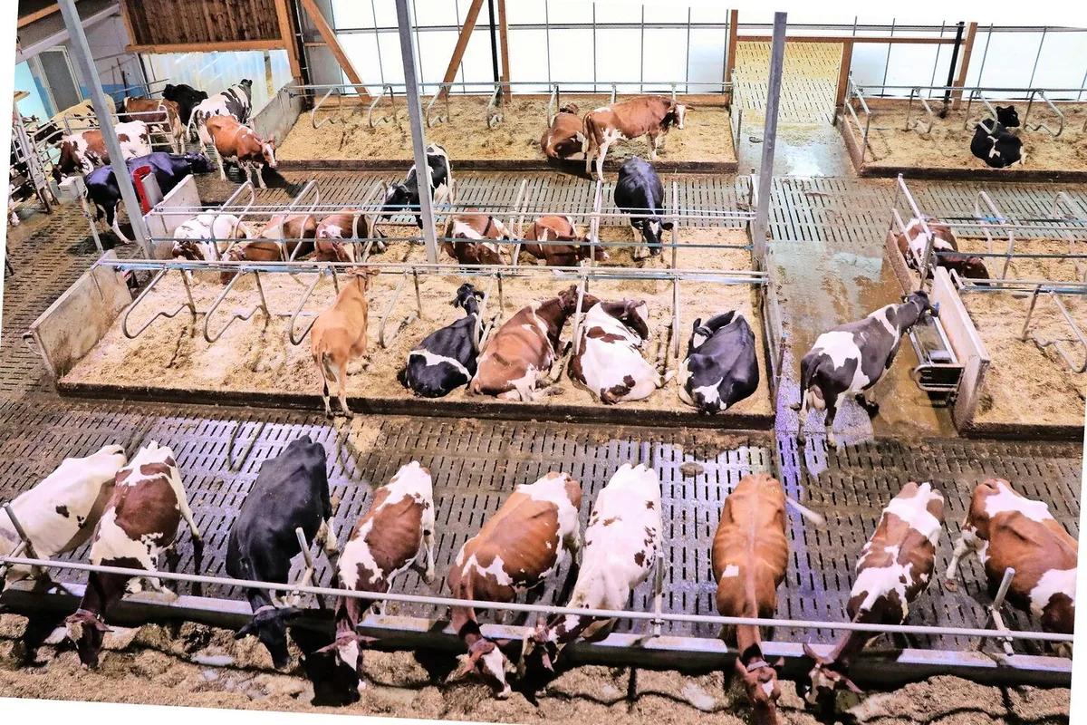 1a3e0482ec50eeab6b7ae5de350df4d195262ceae23ef55ffbacae96f9a0bb43 Reduktion der verschmutzbaren Flächen oder rasche Trennung von Kot und Harn: Möglichkeiten im Milchviehstall zur Ammoniakreduktion.