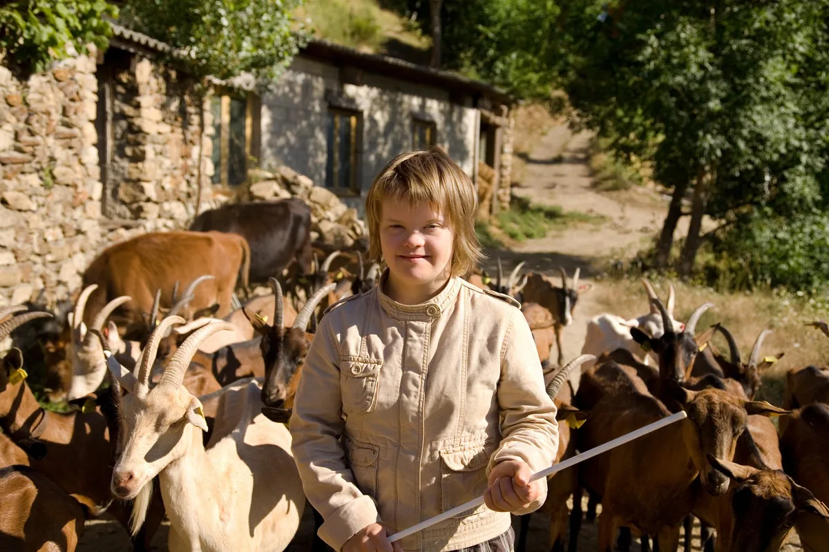 AdobeStock_38141167 A herd of goats following a girl with Down syndrome