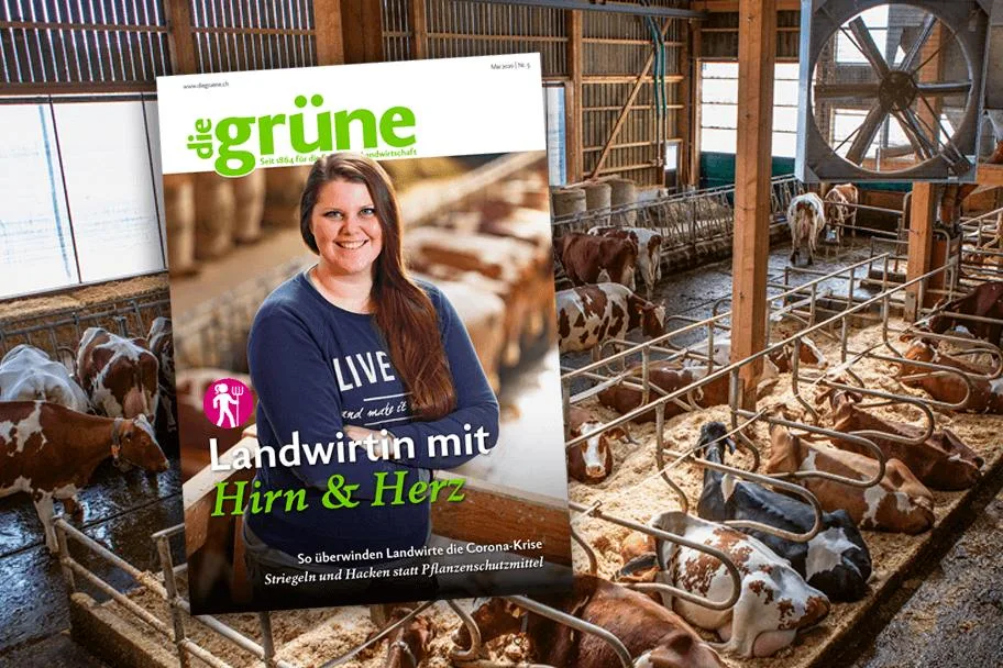 de7685ec3efee0f683906bffaa489ac8894da8f5 In der neuen Ausgabe gibt es viel zu verschiedenen Themen zu entdecken – für jeden ist etwas dabei. (Bild DG)