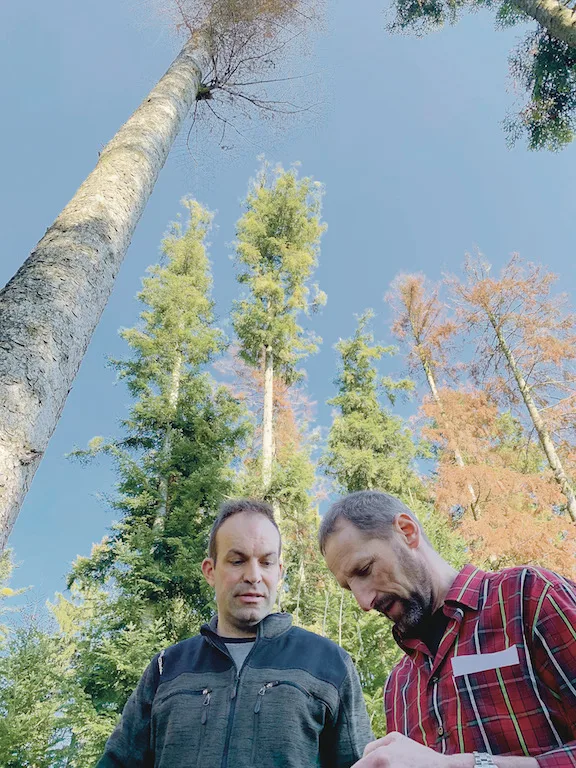 479d3f32d58b870a7f6fc96f2333617ed86e6d24 Ruedi Gerber, Präsident Wald Luzern (r.) und Christian Siegrist, Geschäftsführer von Wald Seetal Habsburg, besichtigen aktuelle Schäden wegen Borkenkäfern. (Bild Josef Scherer)
