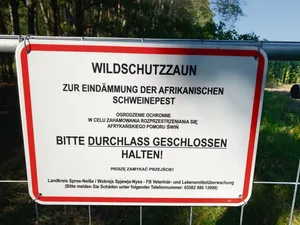 Zäune sind in der Bekämpfung der ASP in Deutschland ein entscheidendes Element. Nur mit der Umzäunung der stark betroffenen Gebiete sei eine Bejagung überhaupt möglich.