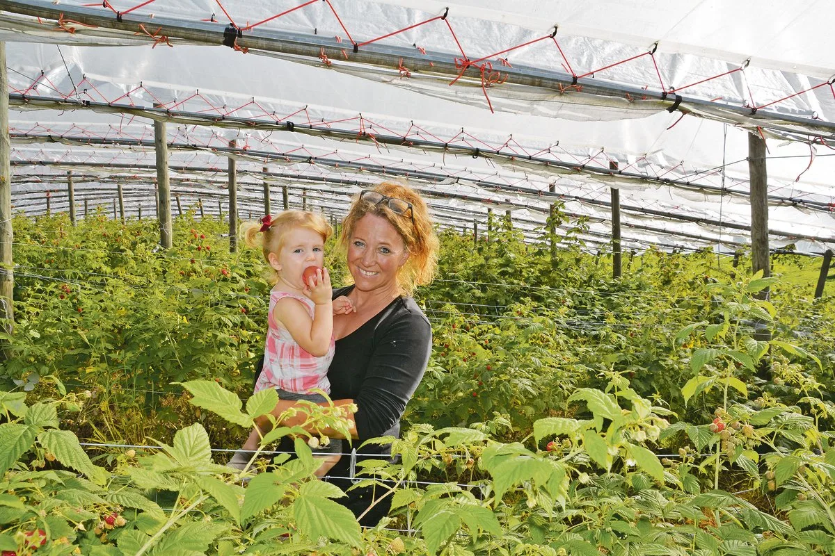 cbe0e32b6166d8bb9e3def0b5430e09e2e570437 Ursula Bucher ist mit Tochter Lilly in der Himbeerenanlage. Lilly beisst gerade genüsslich in einen noch sauren Apfel, den sie unterwegs stibitzt hat. Ursula Bucher hat ihre Tochter oft dabei, wenn sie auf dem Hof unterwegs ist.(Bild Franziska Jurt)
