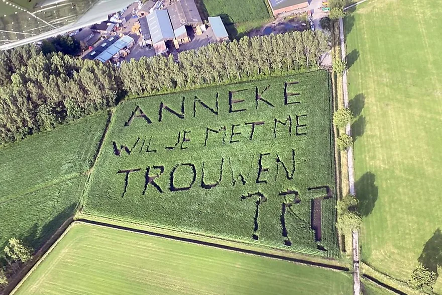 7d604a8e01de67fa43d1ba5a21ce733ea4e33247 Mit akribischer Planung hat ein Landwirt in Belgien seiner Geliebten einen Heiratsantrag in ein Maisfeld gesät. (Bild Keystone/privat/Joost Roothans)