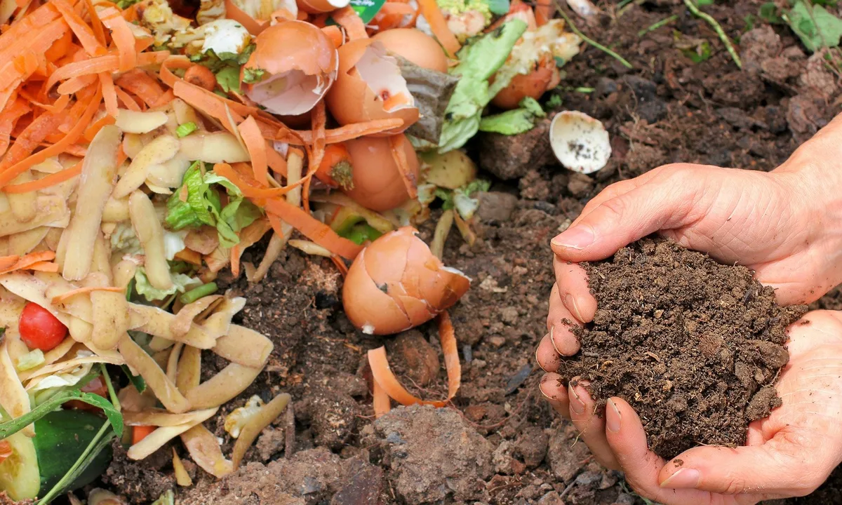compost-6053136_1920_pixabay 3 Tipps für guten Kompost
