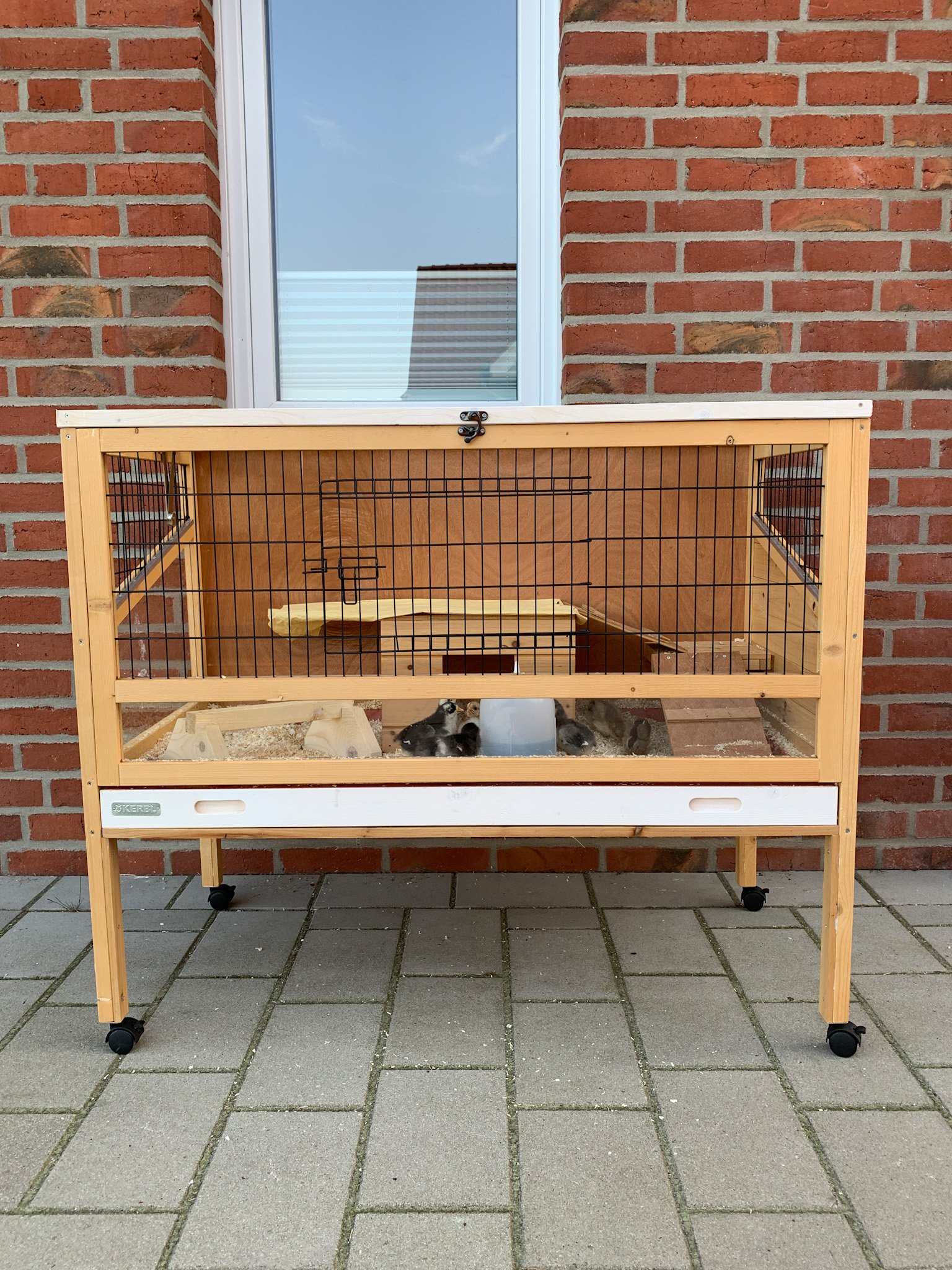 Erste Hilfe beim Huhn bedarf einer guten Vorbereitung