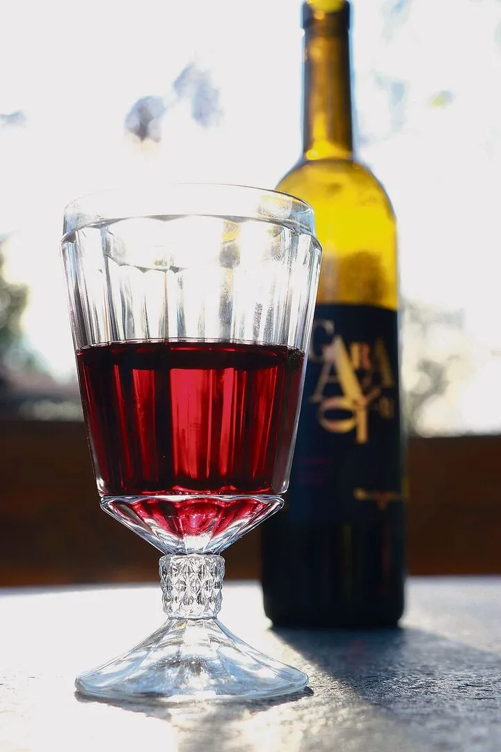 751af2336bd036ab831ce402924f1e14070b79819e35797cf711e712d97cd5f7 Kleine Ernte – wenig Wein in der Region.