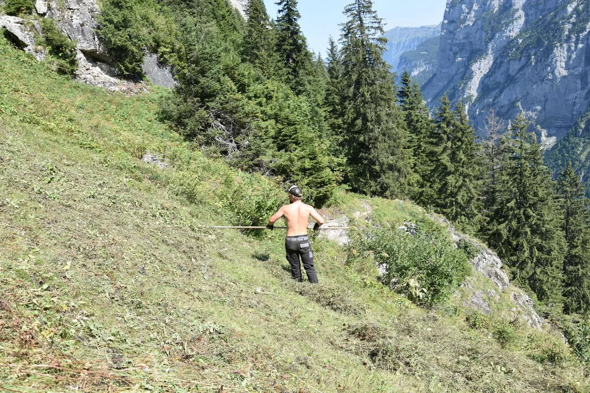 wildheuen_jba Trockenheit ist auch eine Gefahr für die Vielfalt der Landschaft