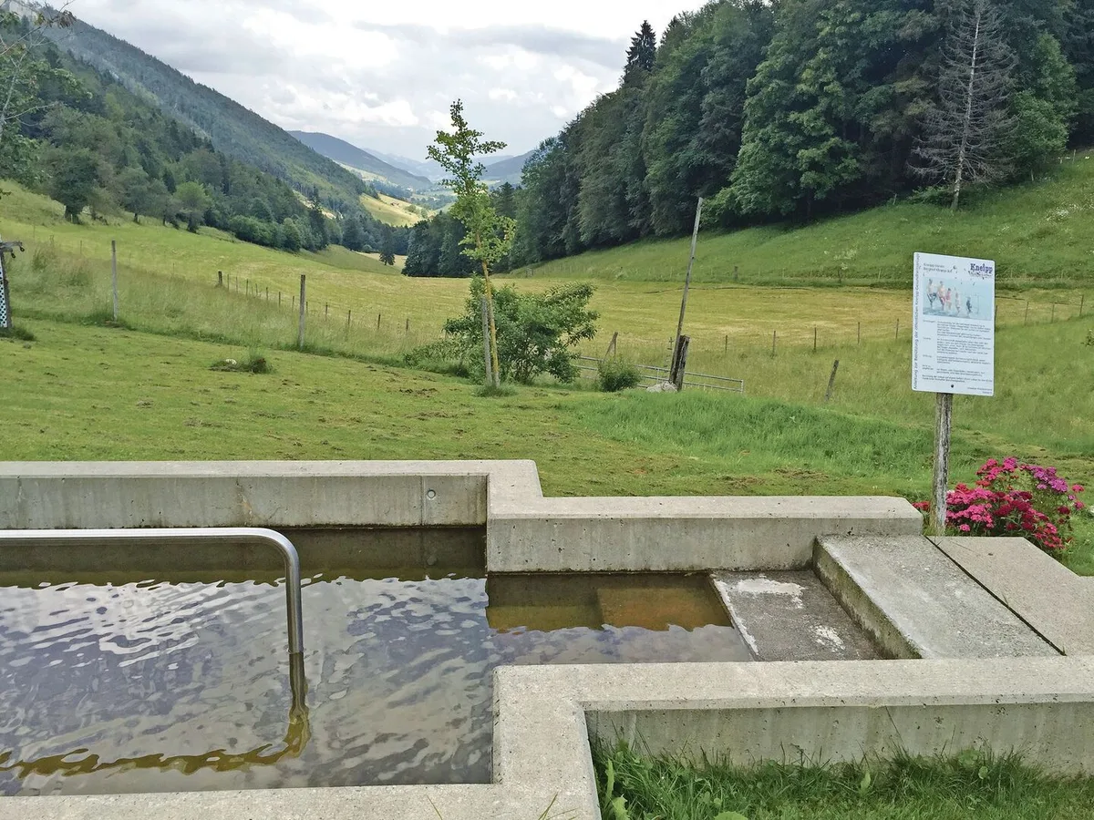 Elsbeth Lanz bietet in ihrem Natur-Wellnessgarten ein Wassertretbecken an. Durch Wassertreten soll der Kreislauf angeregt und die Durchblutung gefördert werden. Der Garten ist eine von vielen Möglichkeiten der Gesundheitsförderung auf dem Bauernhof.