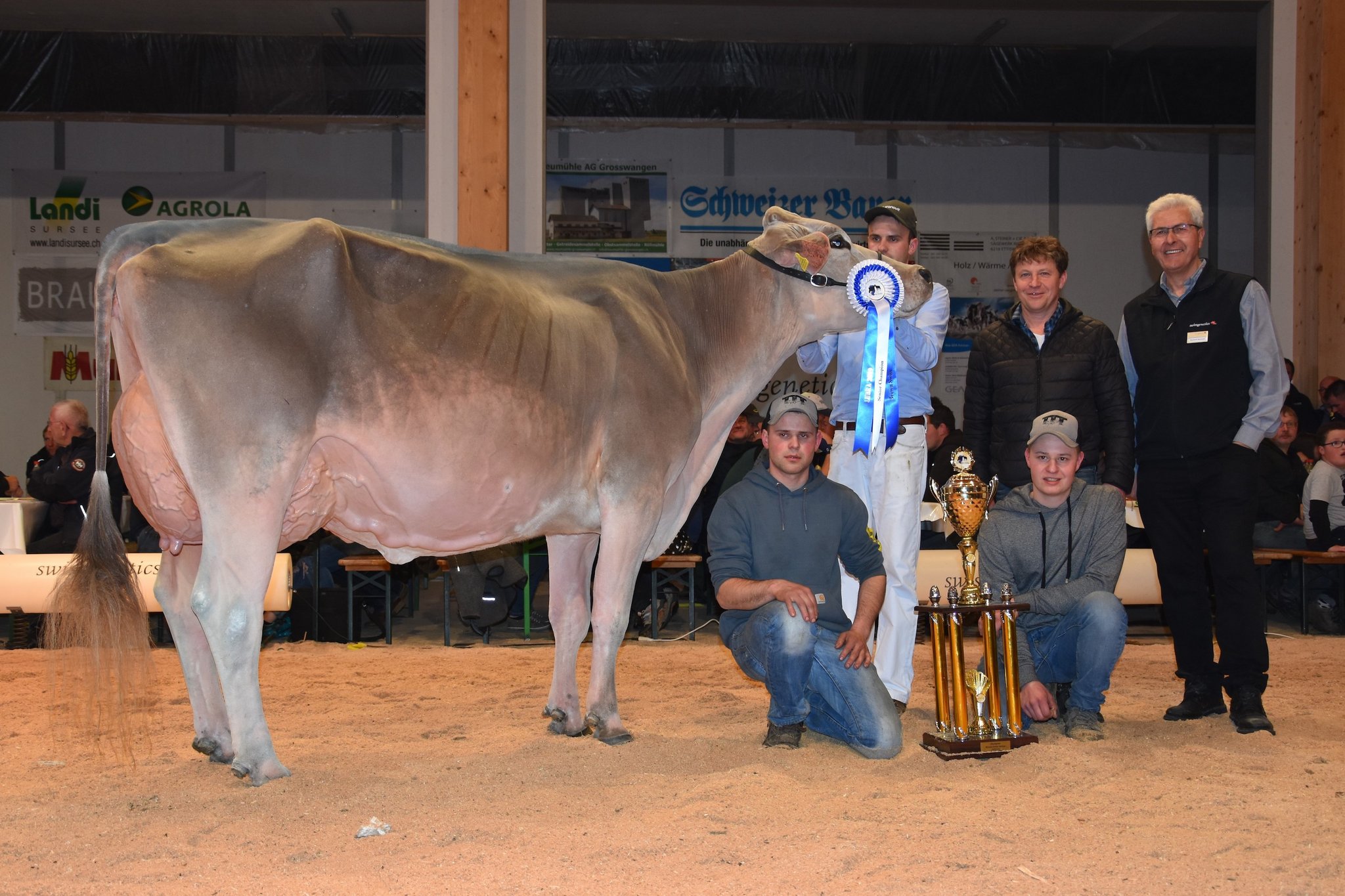 Grand Champion BS, Jongleur Janina von Koni Pfulg/Pascal und Franz Felder. (Bilder Raphael Bissig)