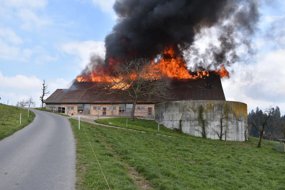Damit es auf dem Hof nicht brandgefährlich wird