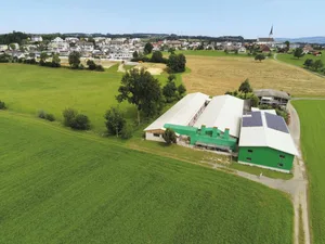 Das Dorf Rain LU wächst immer weiter in Richtung Schweinestall der Familie Bucheli. Dank dem Bioluftwäscher (an der Stirnseite des mittleren Gebäudes) stinkt es nicht. Bild: die grüne/Martina Rüegger