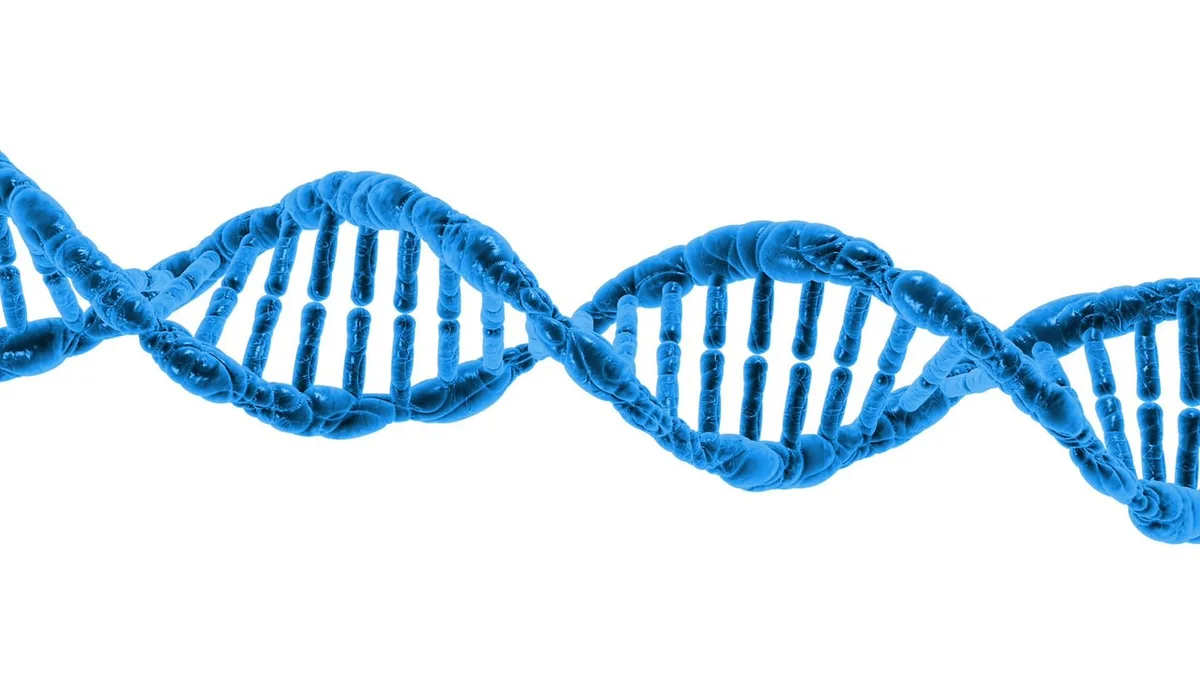 dna-163710_1280 Gendefekt entdeckt: Kälber können nicht mehr aufstehen