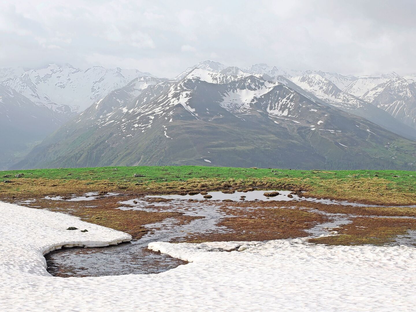 Eine Studie wies zwar nur einen leichten Trend zur früheren Ausaperung nach. Aber die höheren Temperaturen nach der Schneeschnmelze lassen die Vegetation schneller wachsen als noch vor 25 Jahren.
