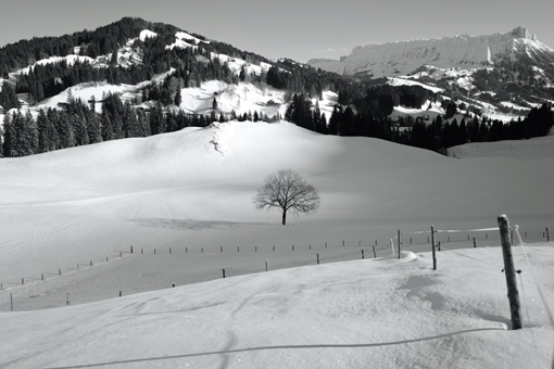 Pinakis Welt: Marie oder die Liebe von der Höhe des Gabelspitzes