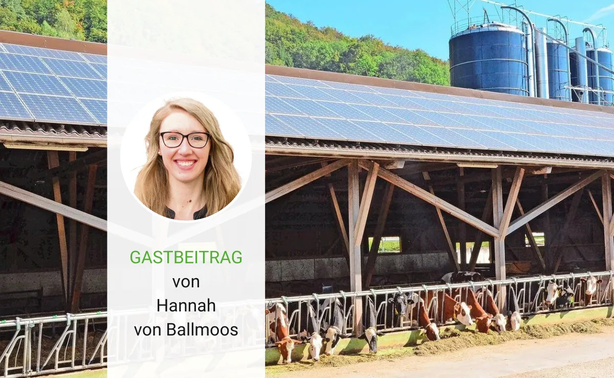 Artikel_Gastbeitrag_BauZ_BallmoosVersorgungssicherheit Für mehr Versorgungssicherheit: Ja zum neuen Stromgesetz