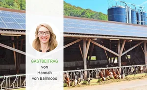 Der SBV empfiehlt ein Ja zum neuen Stromgesetz.