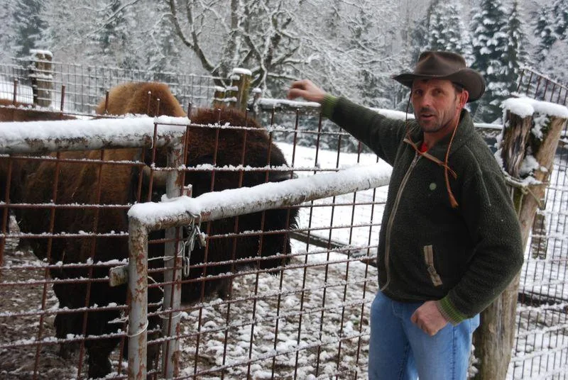8f7ed54ec5dabdbb3cb568b1ab9a692cc1a0fb1a Ivo Bühlmann ist begeistert von den Bisons, hadert aber mit der Bürokratie. (Bilder rb)