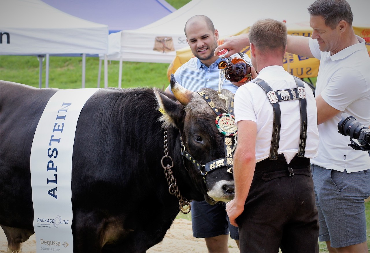 Der ESAF-Siegermuni von Appenzell 2024 ist getauft – auf «Alpstein»