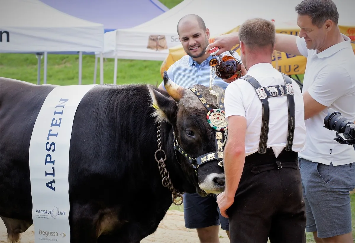 EJSFMunitaufe2_17062023 Der ESAF-Siegermuni von Appenzell 2024 ist getauft – auf «Alpstein»