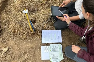 Die Eigenschaften von aus Bio-Saatgut gezogenen Nutzpflanzen dezentral mittels der App SeedLinked beurteilen zu lassen ist einer der Grundgedanken vom Projekt LiveSeeding.