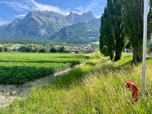 Dank des Bewässerungsnetzes sind die Hydranten immer in Ackernähe.
