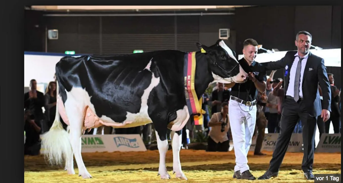 f4ace542335eca6d5c957df60c1601146d7eb5b9 Die Armani-Tochter Alessja ist die schönste Holsteinkuh in Deutschland. Sie gehört dem Züchterkonsortium Lohmöller, Melbaum, Nosbisch und Blaise. Mit dem Preisrichter Markus Mock (rechts). (Bild zVg)