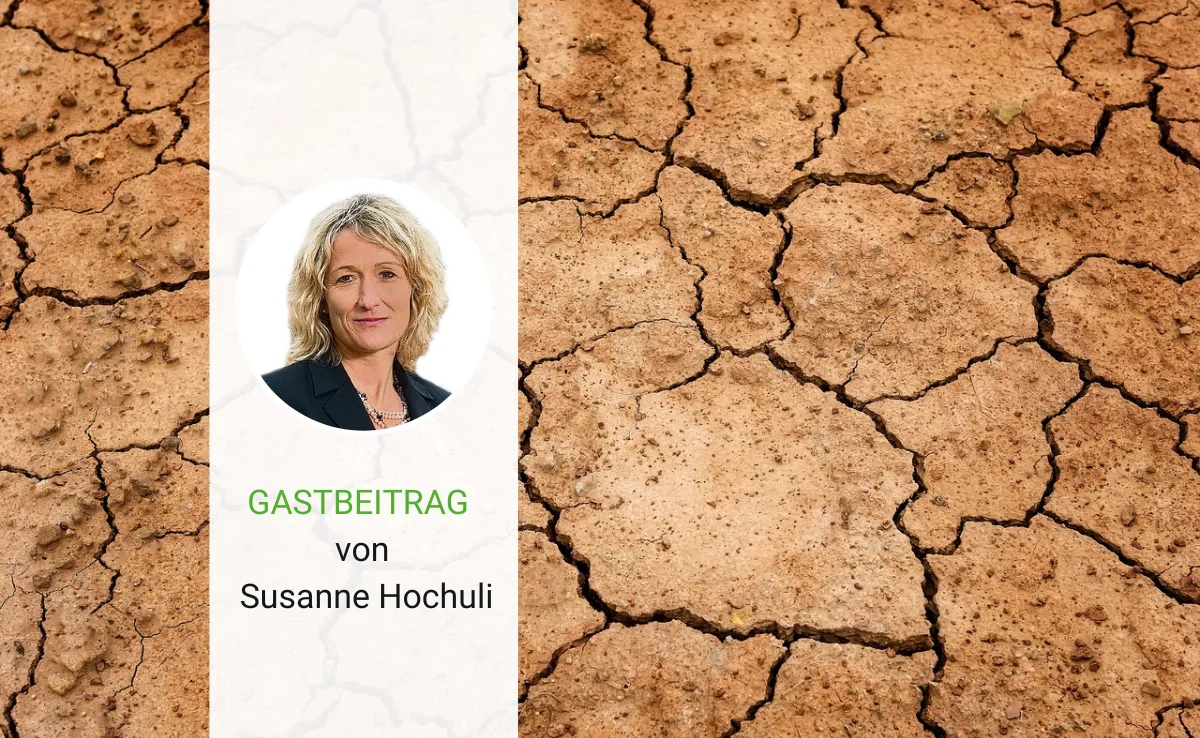 Artikel_Gastbeitrag_BauZ_Hochuli Hat die Menschheit den Kindergarten verpasst?